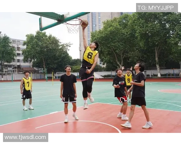 南京篮球队在城市联赛中的实力分析与表现评估