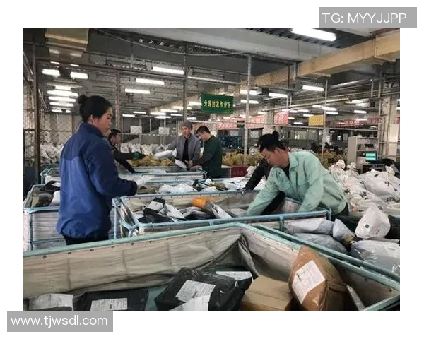 对话陈军：回顾排球生涯中的挑战与成就分享