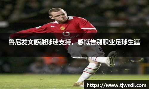 bellbet贝博艾弗森官方网站