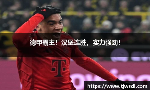bellbet贝博艾弗森官方网站