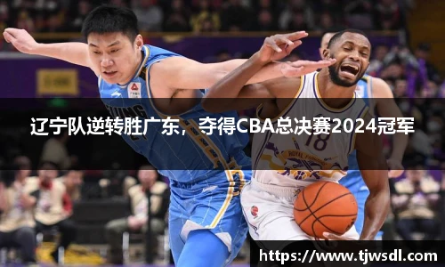 BB贝博艾弗森官网