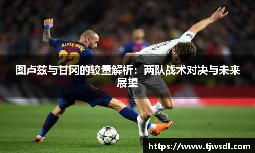 图卢兹与甘冈的较量解析:两队战术对决与未来展望