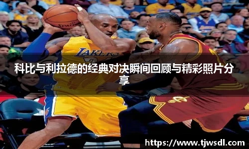 BB贝博艾弗森官网